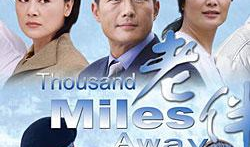 老伴电视剧,温情岁月里的爱情坚守