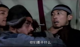 代号黑狼电视剧全集在线观看,揭秘神秘特工的惊险征程